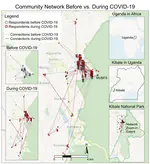 Impacts of COVID-19 on Biodiversity Conservation and Community Networks at Kibale National Park, Uganda